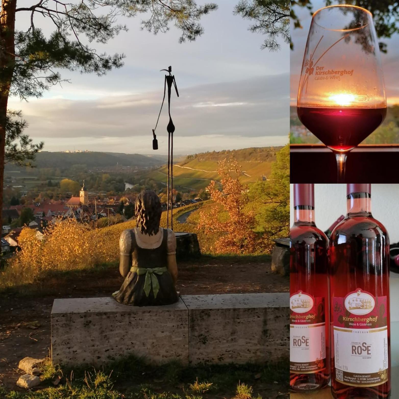 Kirschberghof Gaestehaus Und Weinverkauf Sommerhausen Luaran gambar