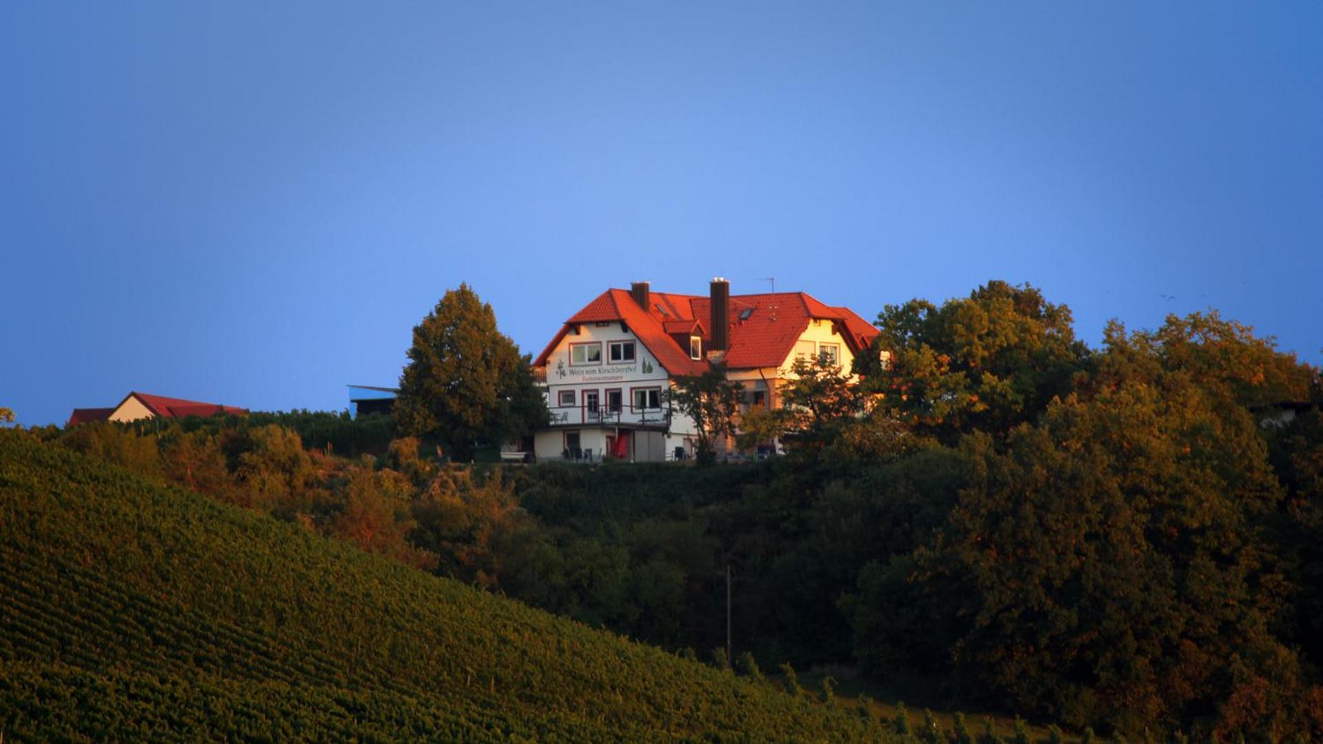 Kirschberghof Gaestehaus Und Weinverkauf Sommerhausen Luaran gambar